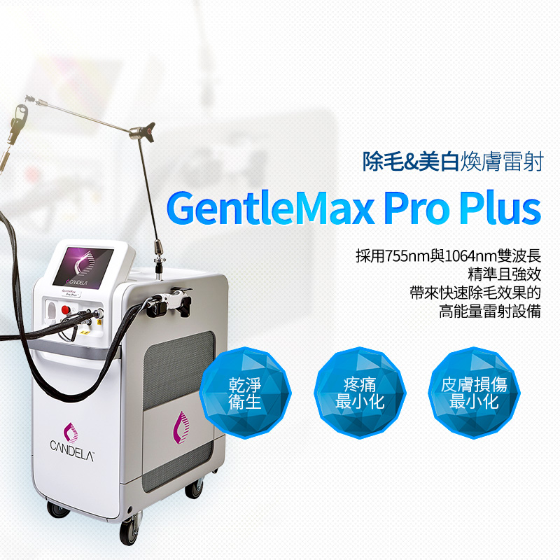 GENTLEMAX PRO PLUS - 釜山南浦店